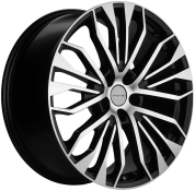 KHW2009 (RX)