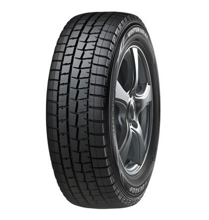 Шины Dunlop Winter Maxx WM01