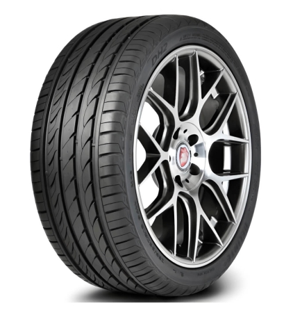 Шины Delinte DH2