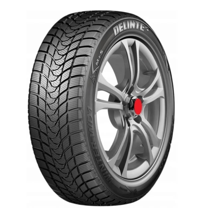 Шины Delinte Winter WD1