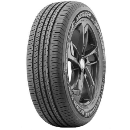 Шины Doublestar DS09