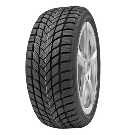 Шины Delinte Winter WD6
