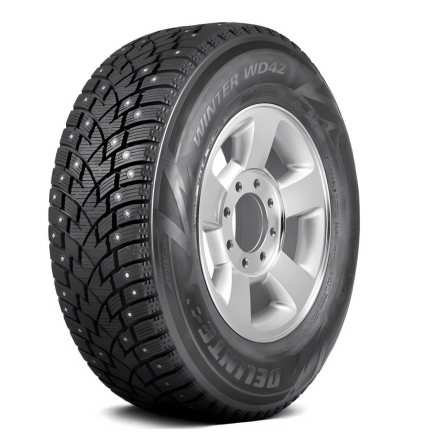 Шины Delinte Winter WD42
