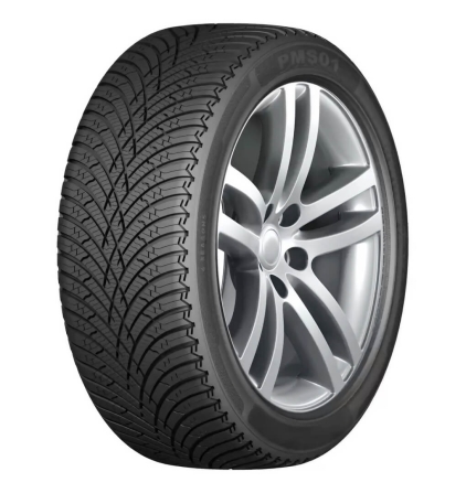 Шины Aosen PMS01